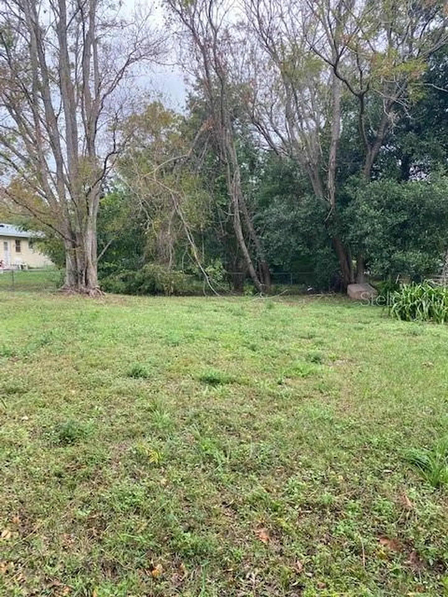 12 Spring Loop Ocala FL 34472