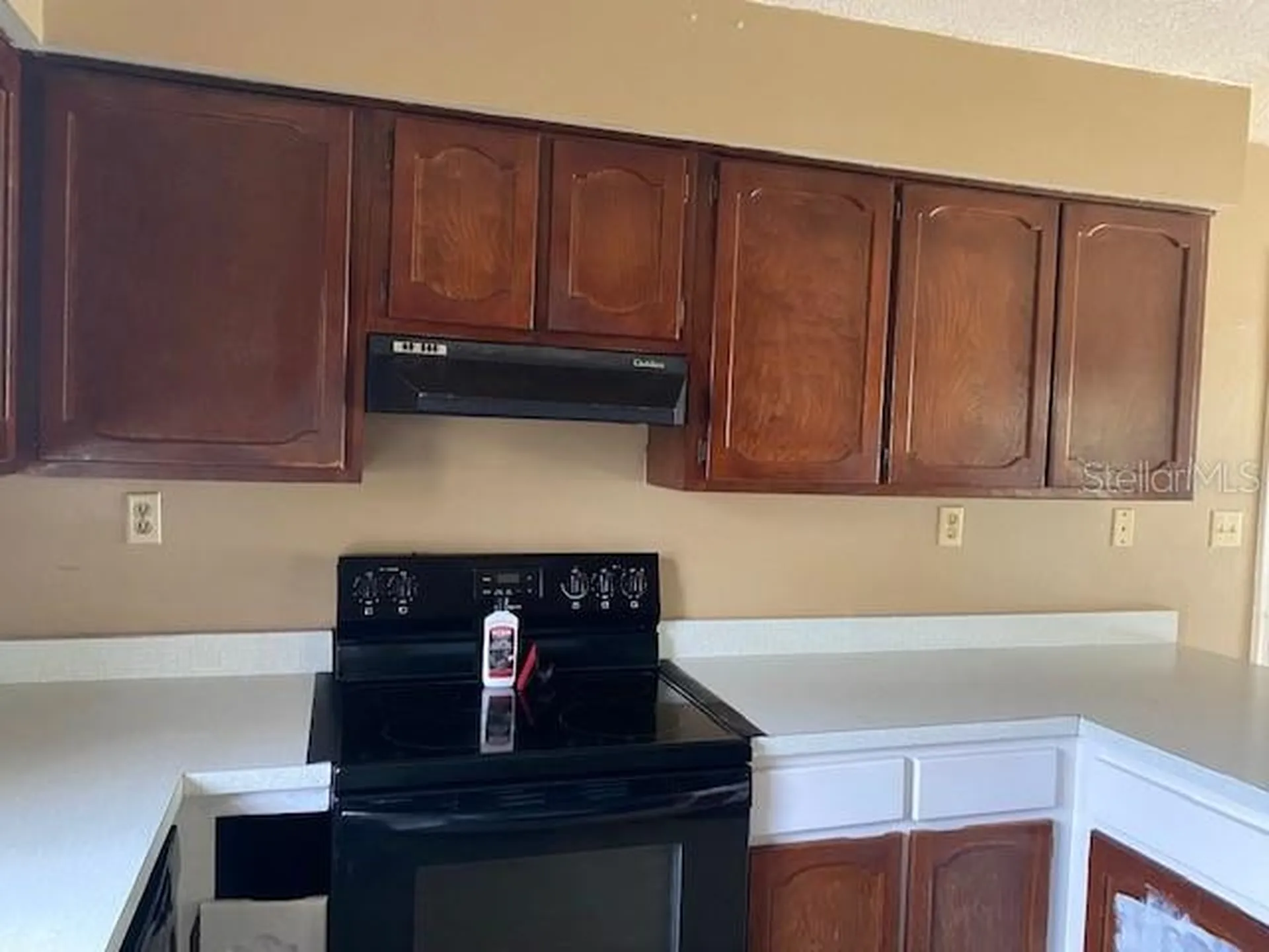 12 Spring Loop Ocala FL 34472