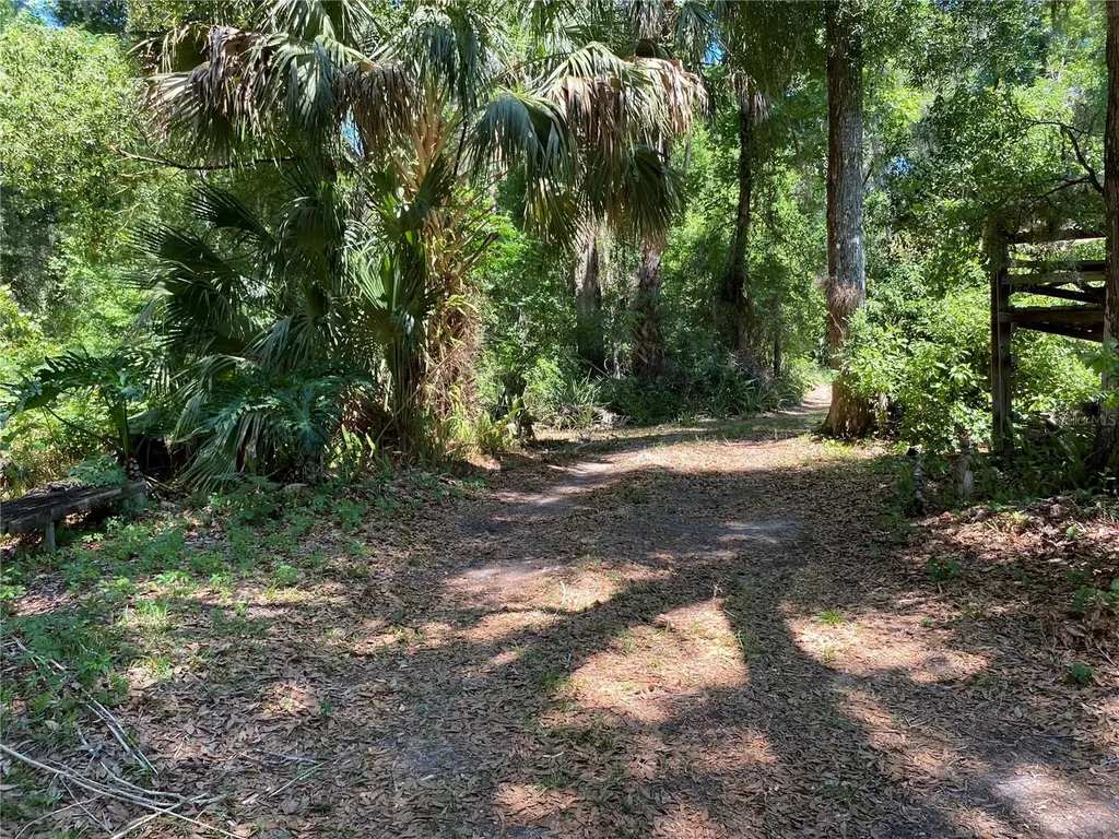 2424 NE 170th Street Citra FL 32113