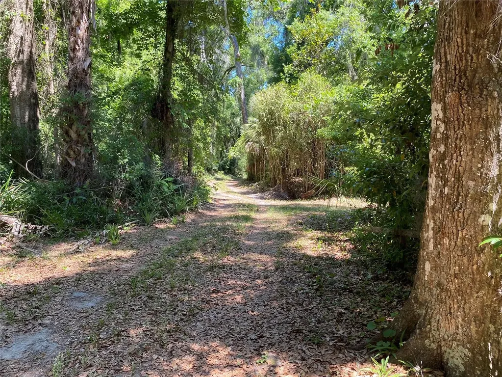 2424 NE 170th Street Citra FL 32113