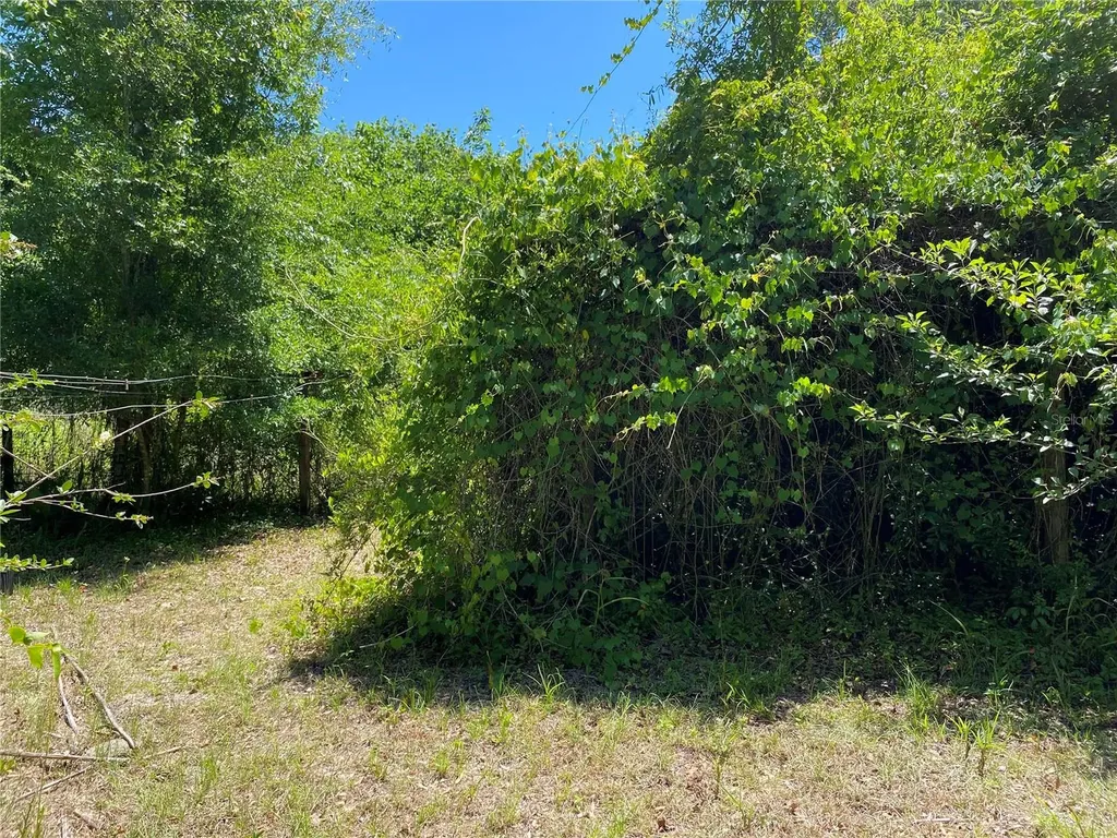2424 NE 170th Street Citra FL 32113