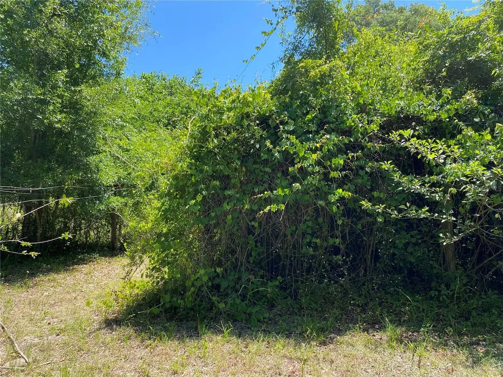 2424 NE 170th Street Citra FL 32113