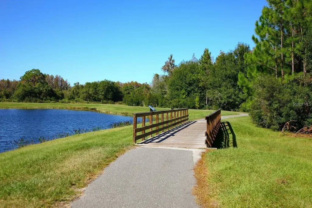9707 Wild Begonia Loop Land O Lakes FL 34637