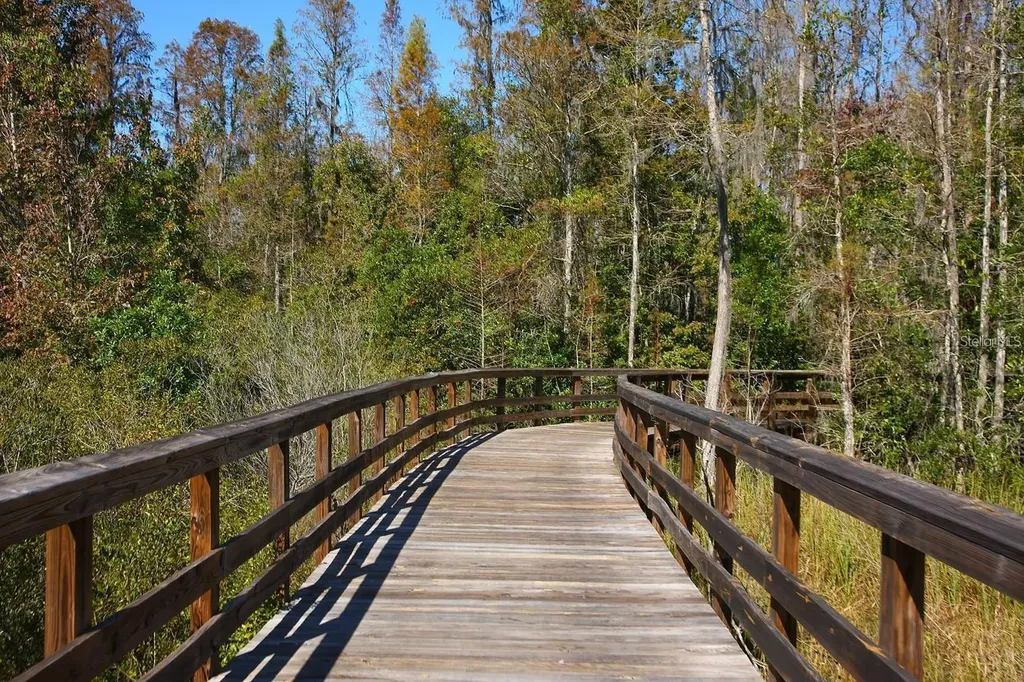 9707 Wild Begonia Loop Land O Lakes FL 34637