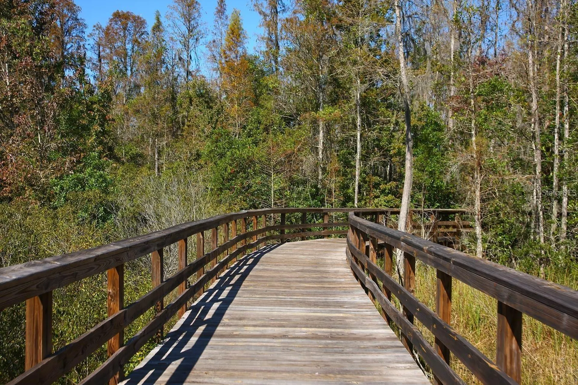 9707 Wild Begonia Loop Land O Lakes FL 34637