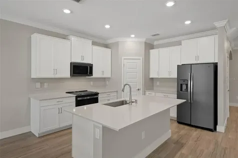 9707 Wild Begonia Loop Land O Lakes FL 34637