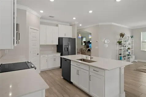 9707 Wild Begonia Loop Land O Lakes FL 34637
