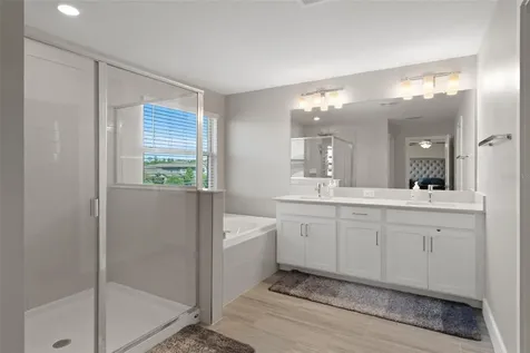 9707 Wild Begonia Loop Land O Lakes FL 34637
