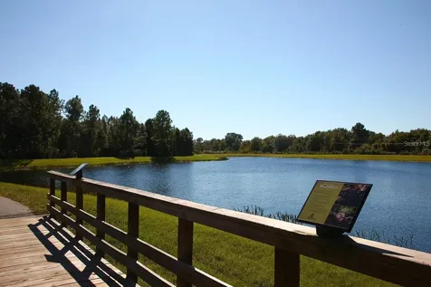 9707 Wild Begonia Loop Land O Lakes FL 34637