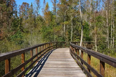 9707 Wild Begonia Loop Land O Lakes FL 34637