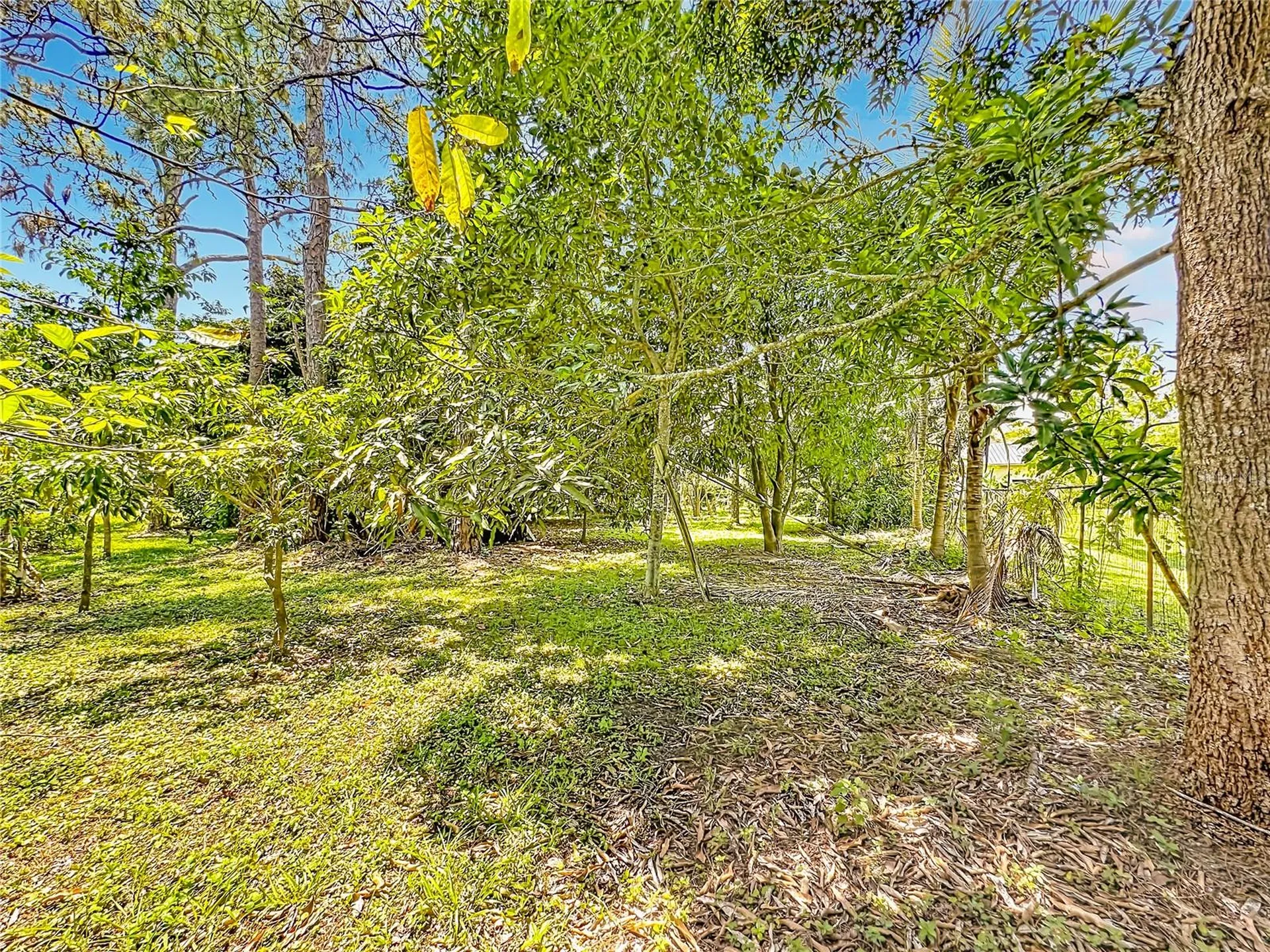 12821 86th Road N West Palm Beach FL 33412