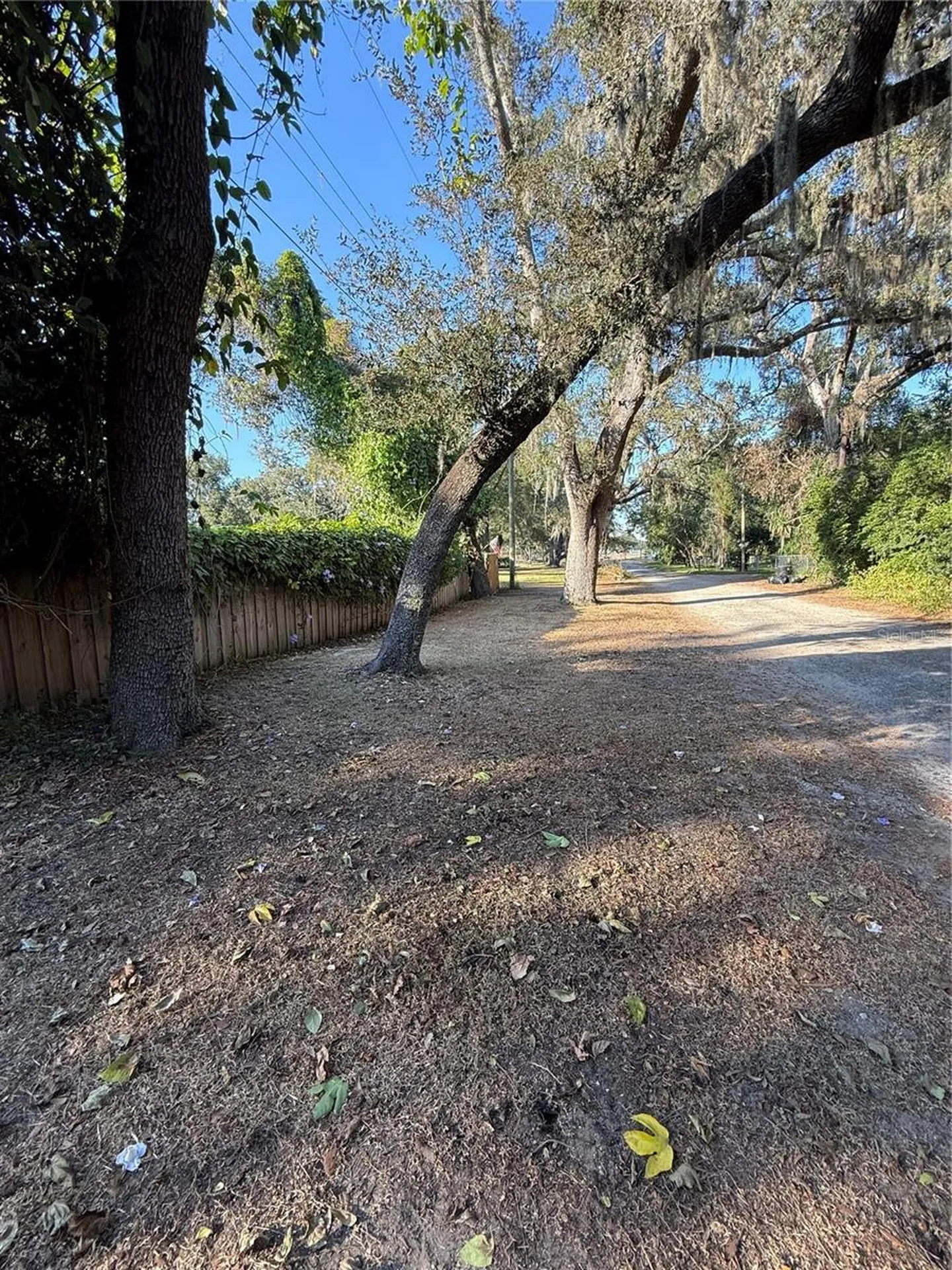 Lakeside Drive Brandon FL 33510