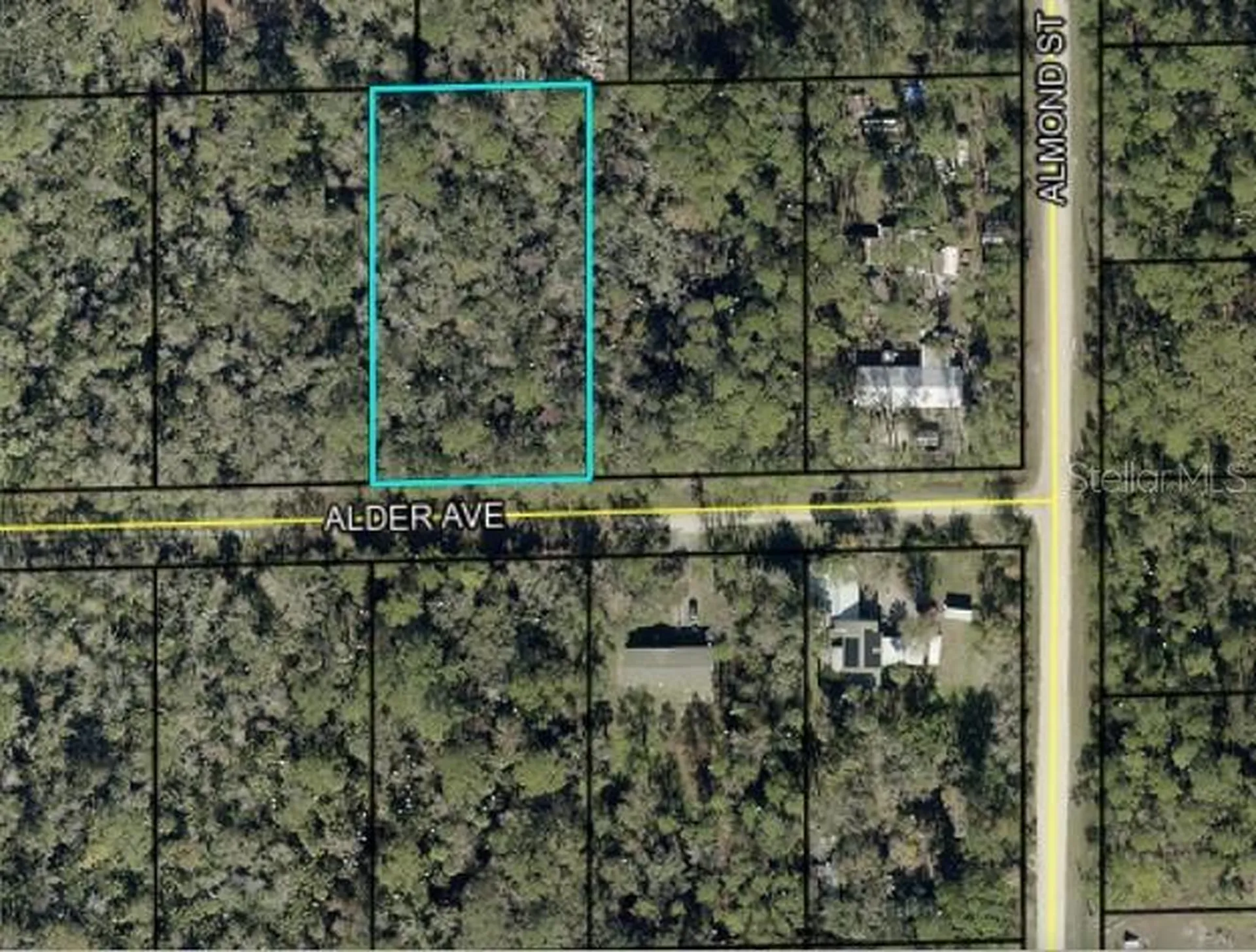 6296 Alder Avenue Bunnell FL 32110