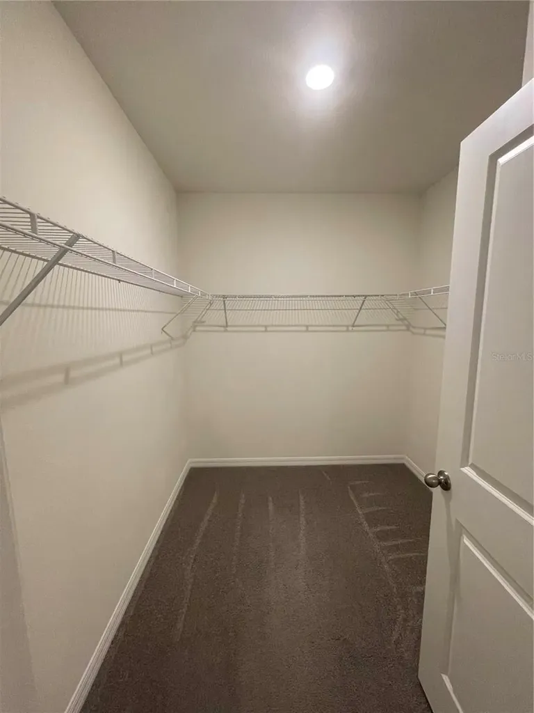 33724 Jasmine Star Loop Wesley Chapel FL 33543