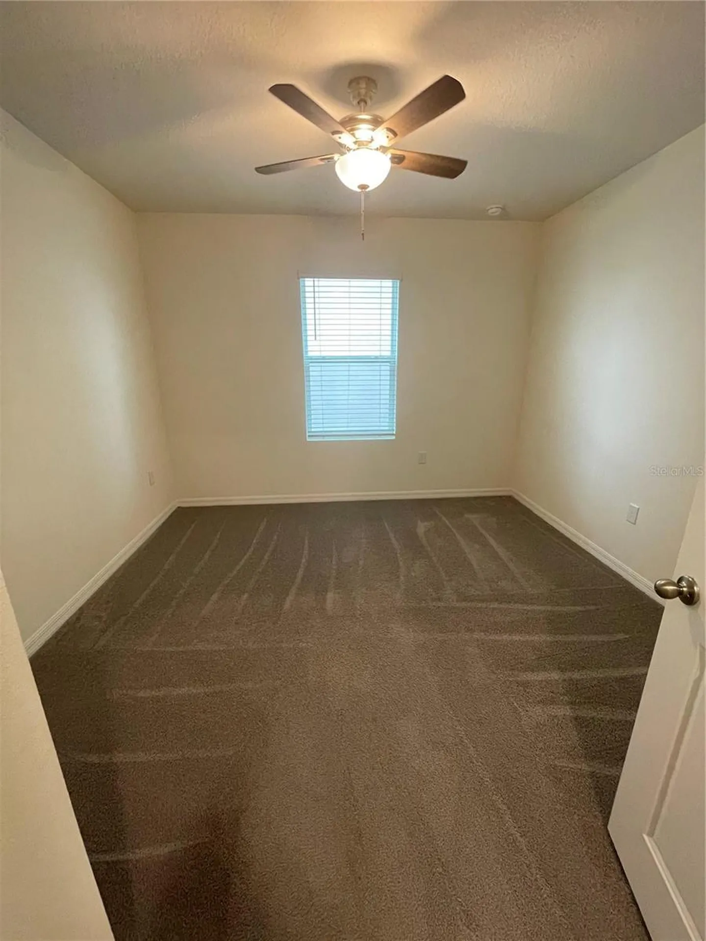 33724 Jasmine Star Loop Wesley Chapel FL 33543
