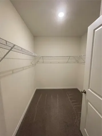 33724 Jasmine Star Loop Wesley Chapel FL 33543