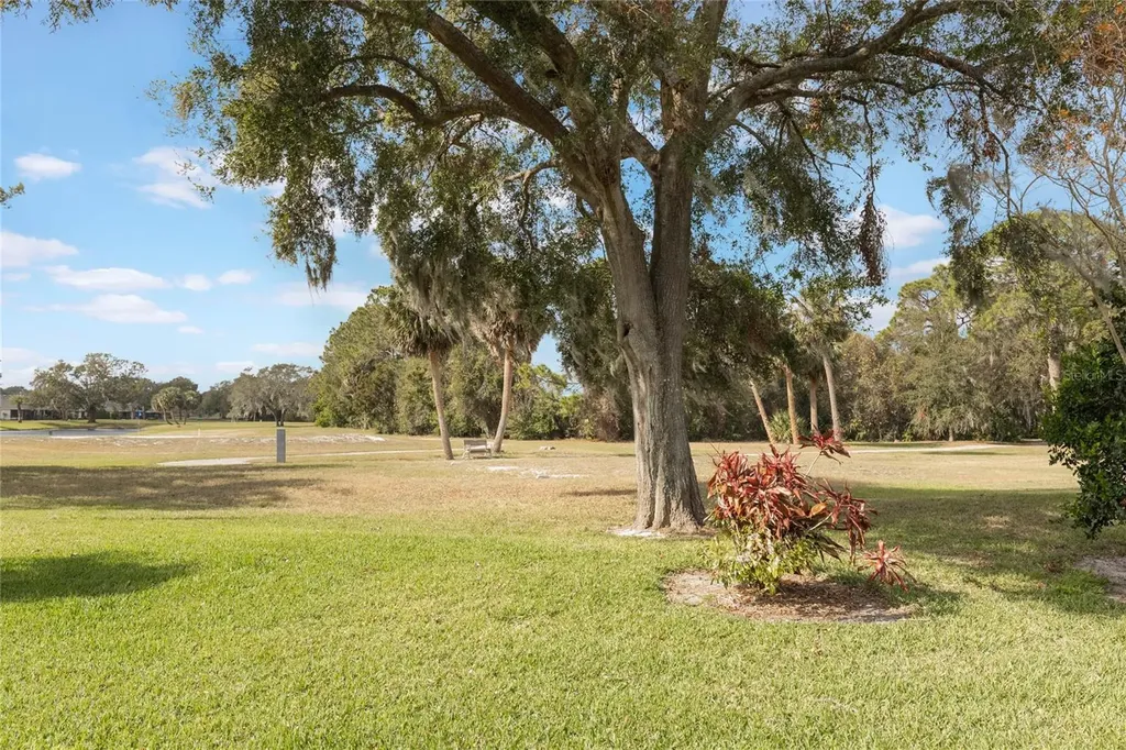 615 Juniper Way Tavares FL 32778