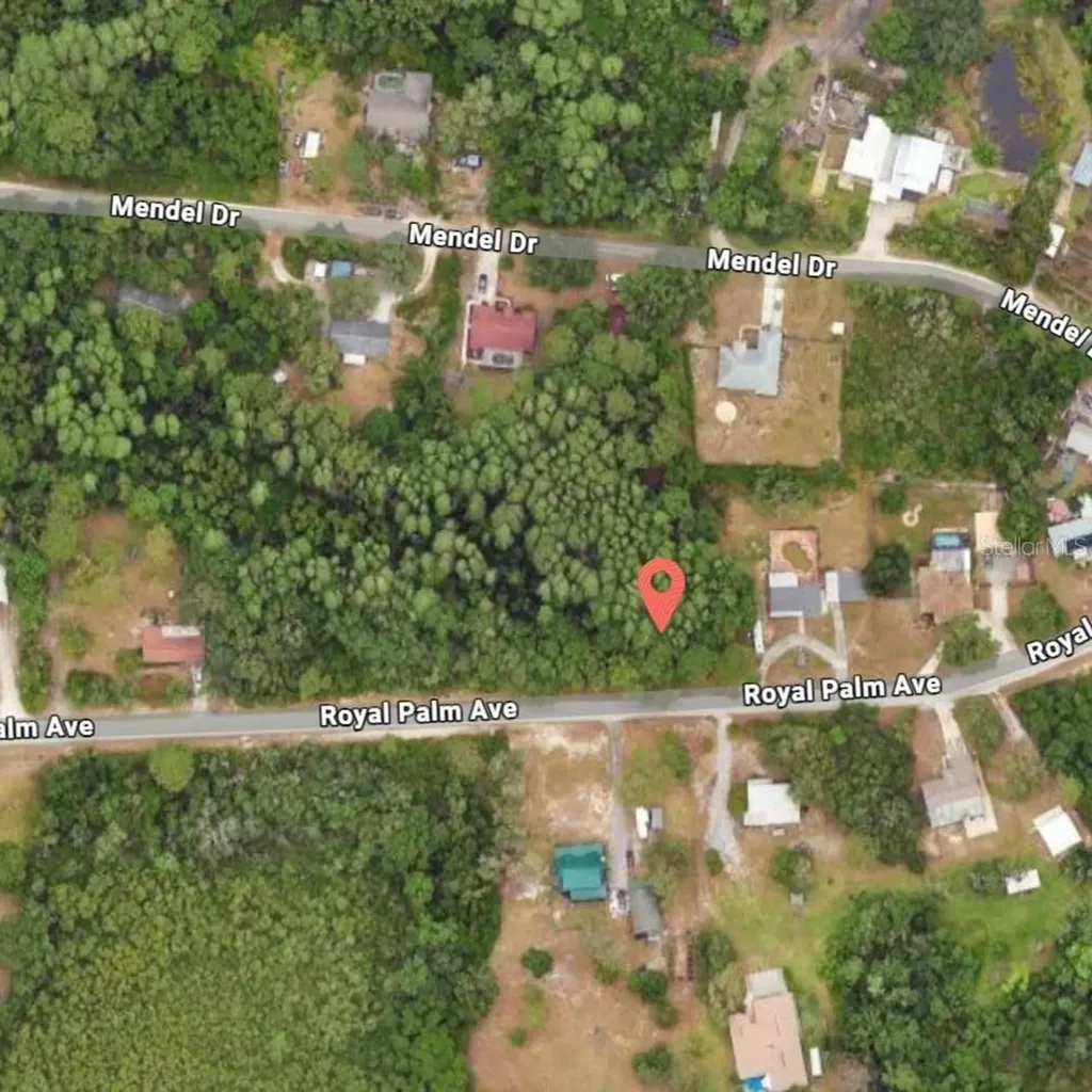 9805 Royal Palm Avenue New Port Richey FL 34654