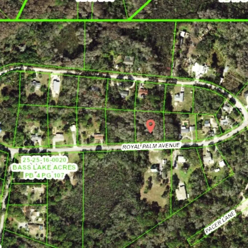 9805 Royal Palm Avenue New Port Richey FL 34654