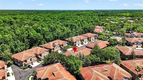 4927 Anniston Circle Tampa FL 33647