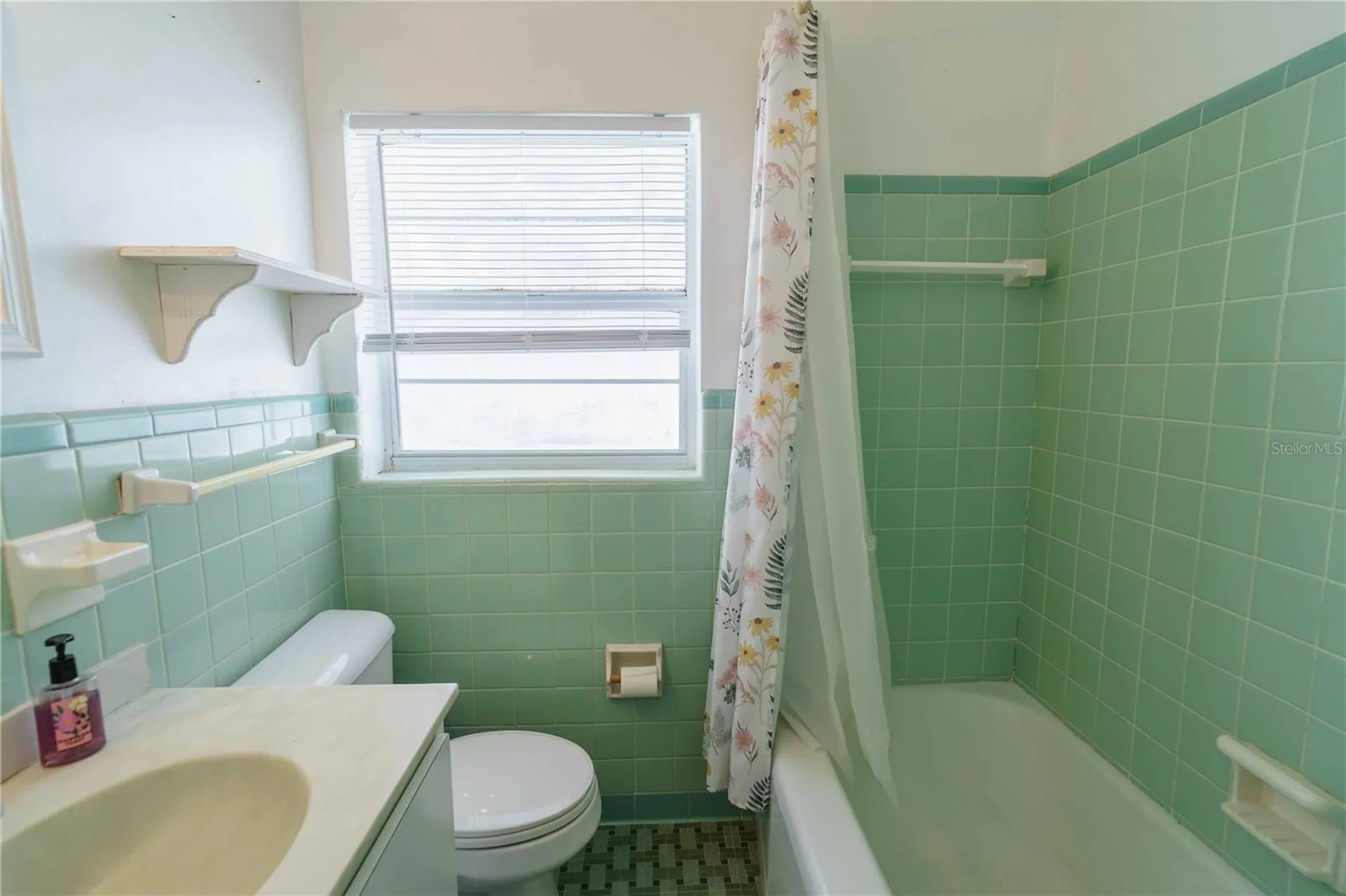 3523 SE 6th Street Ocala FL 34471