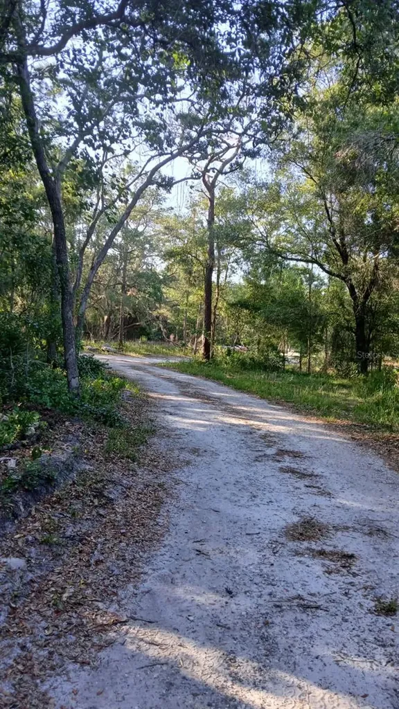 0 And Tbd Webster FL 33597