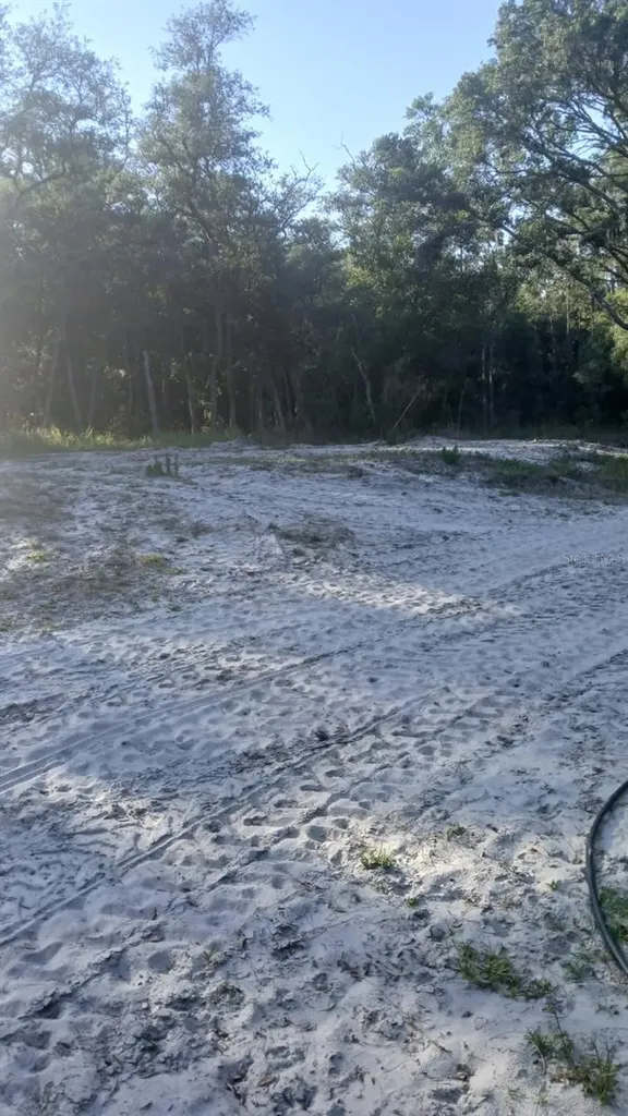 0 And Tbd Webster FL 33597