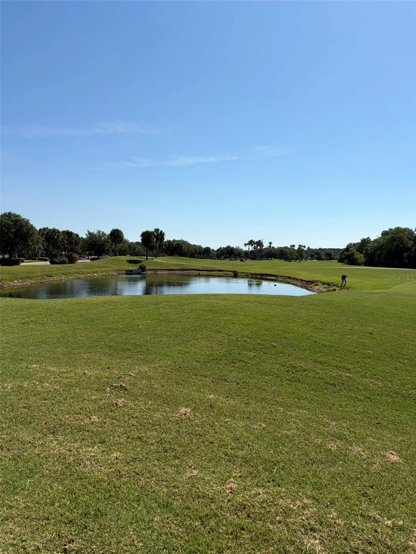 1003 Fairwaycove Lane Bradenton FL 34212