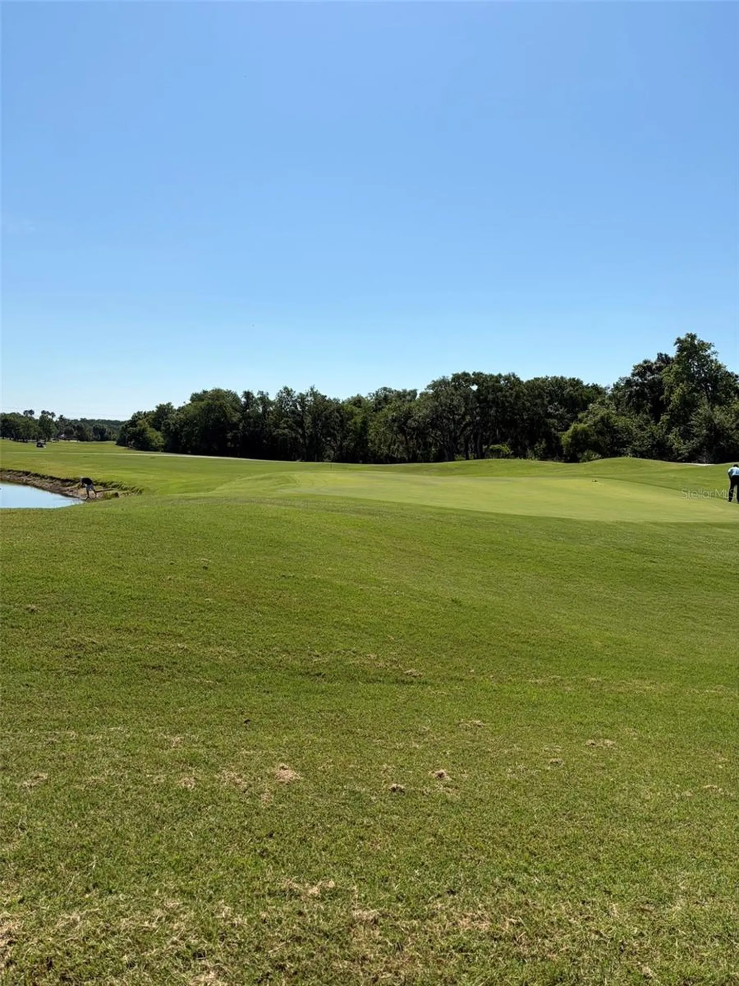 1003 Fairwaycove Lane Bradenton FL 34212
