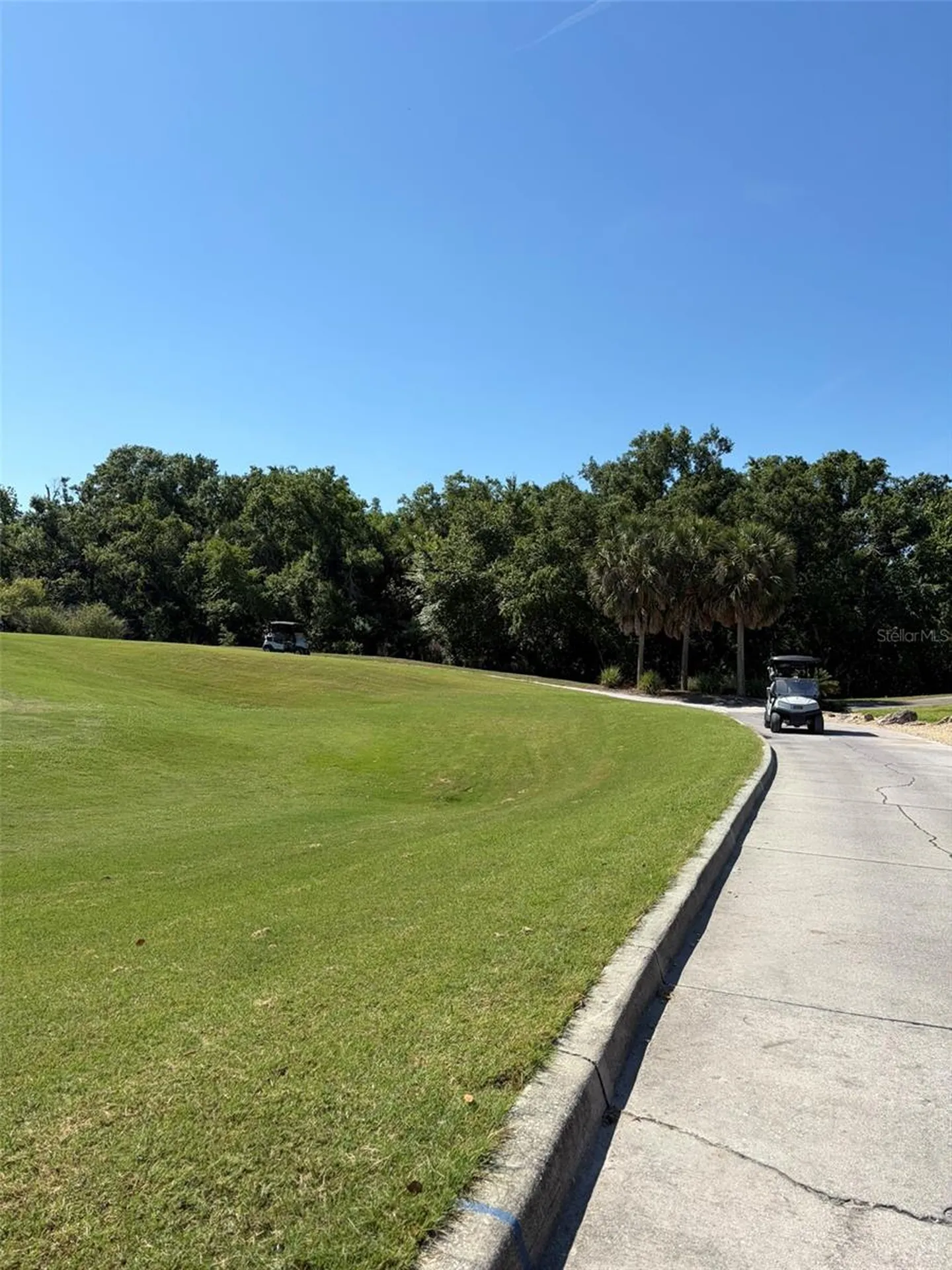 1003 Fairwaycove Lane Bradenton FL 34212