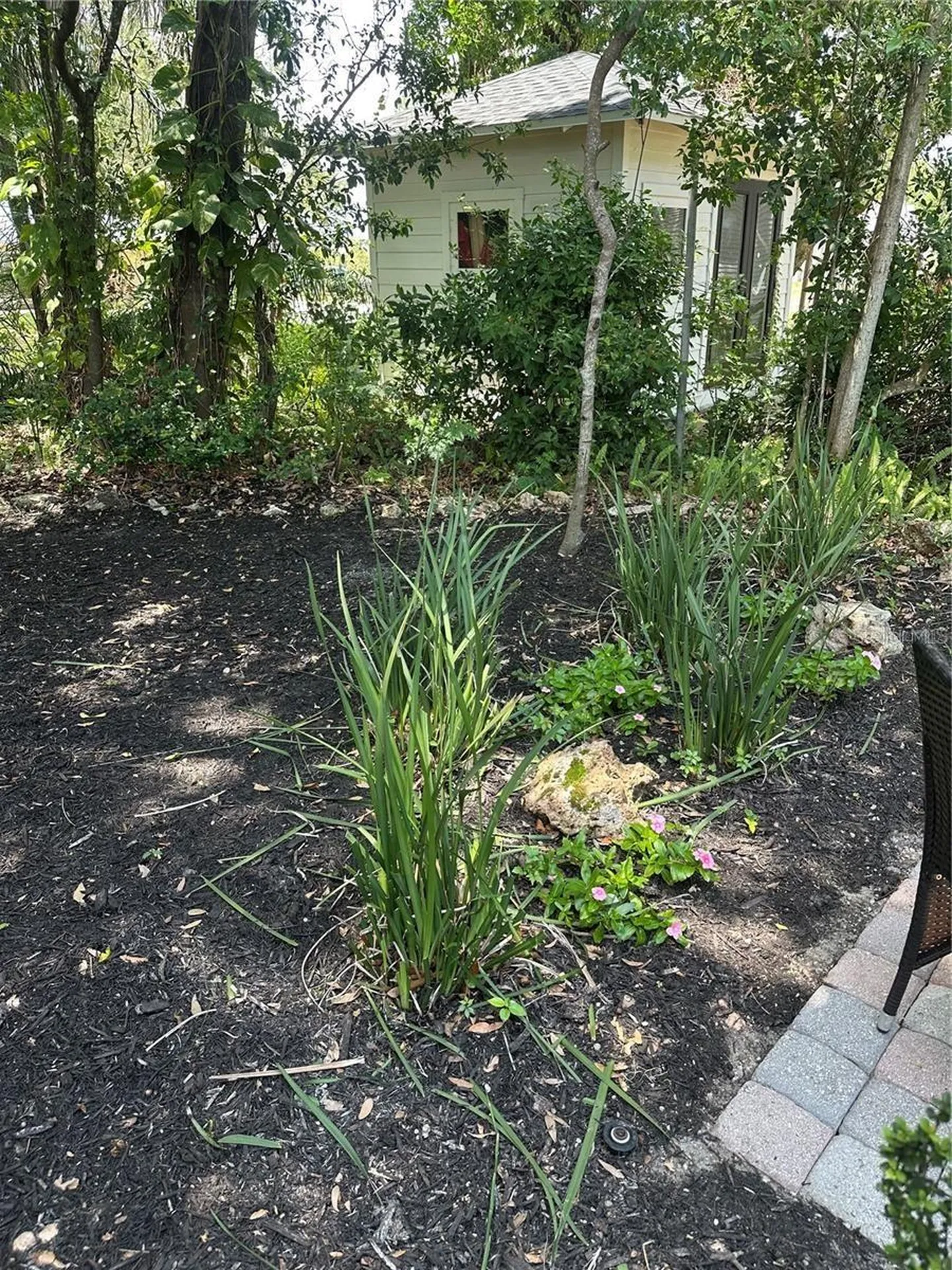 624 Fifth Street Clermont FL 34711