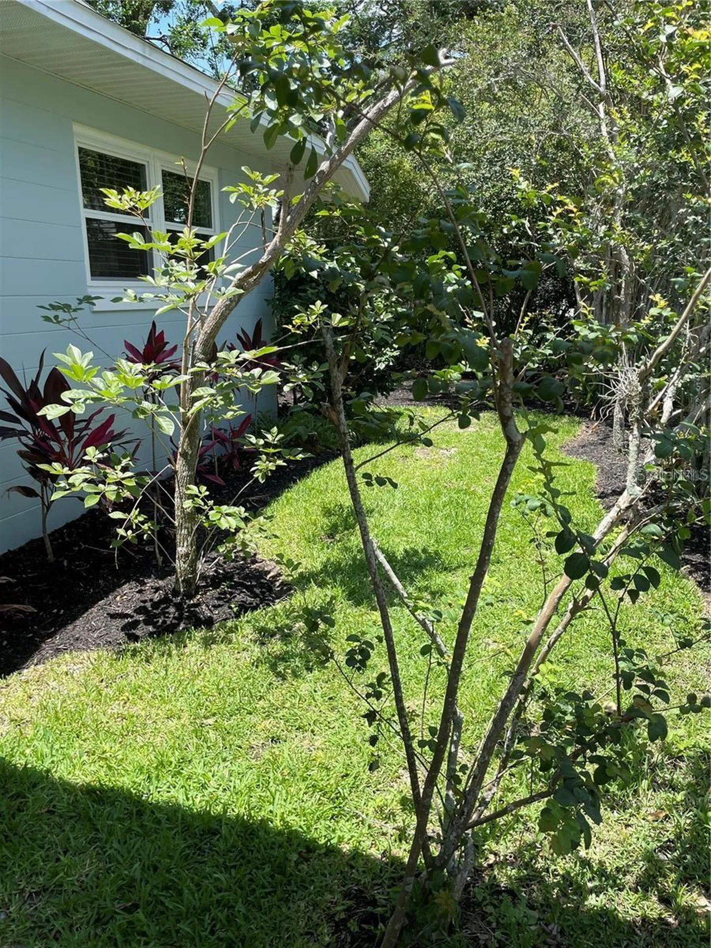 624 Fifth Street Clermont FL 34711