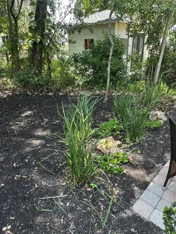 624 Fifth Street Clermont FL 34711