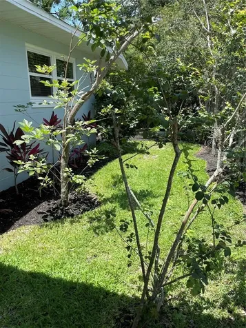 624 Fifth Street Clermont FL 34711