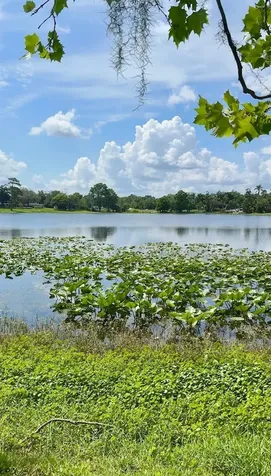 524 Queens Mirror Circle Casselberry FL 32707