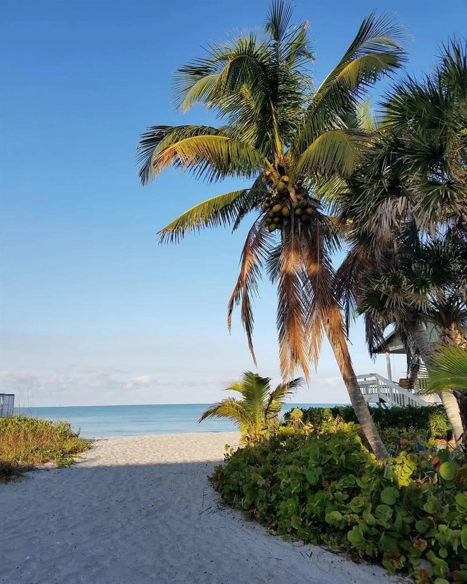 8302 Little Gasparilla Island Placida FL 33946