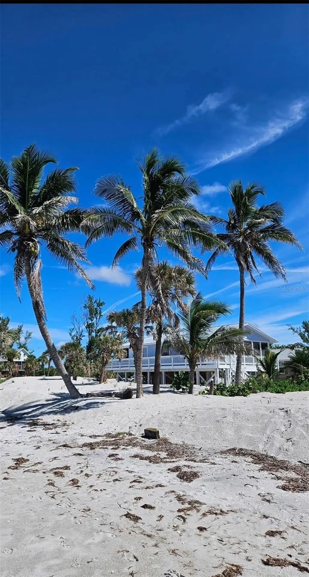 8302 Little Gasparilla Island Placida FL 33946
