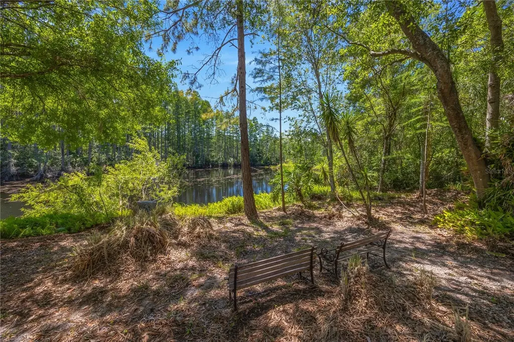 18324 Jorene Road Odessa FL 33556