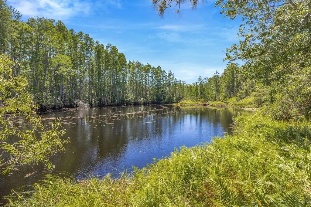 18324 Jorene Road Odessa FL 33556