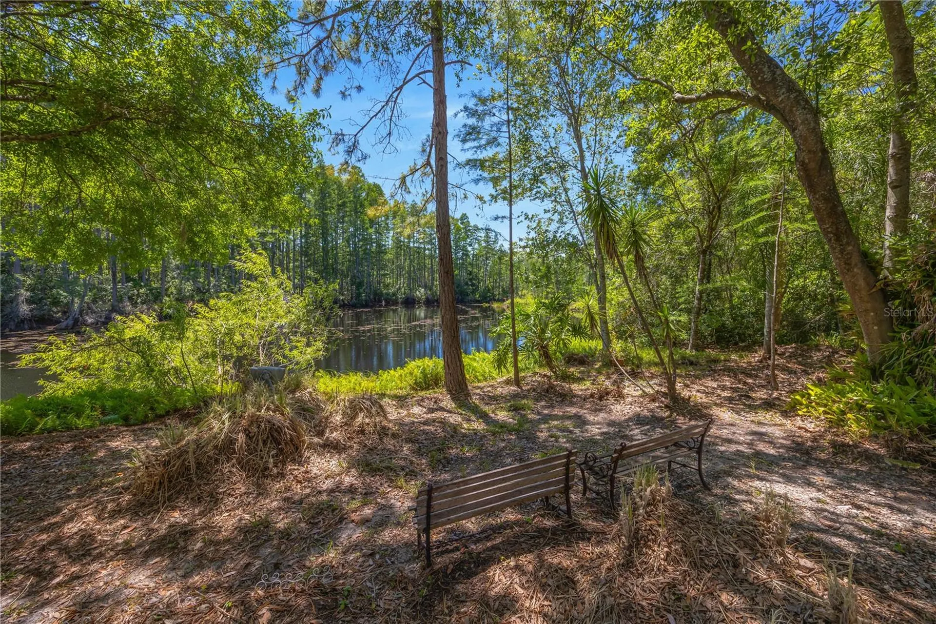 18324 Jorene Road Odessa FL 33556