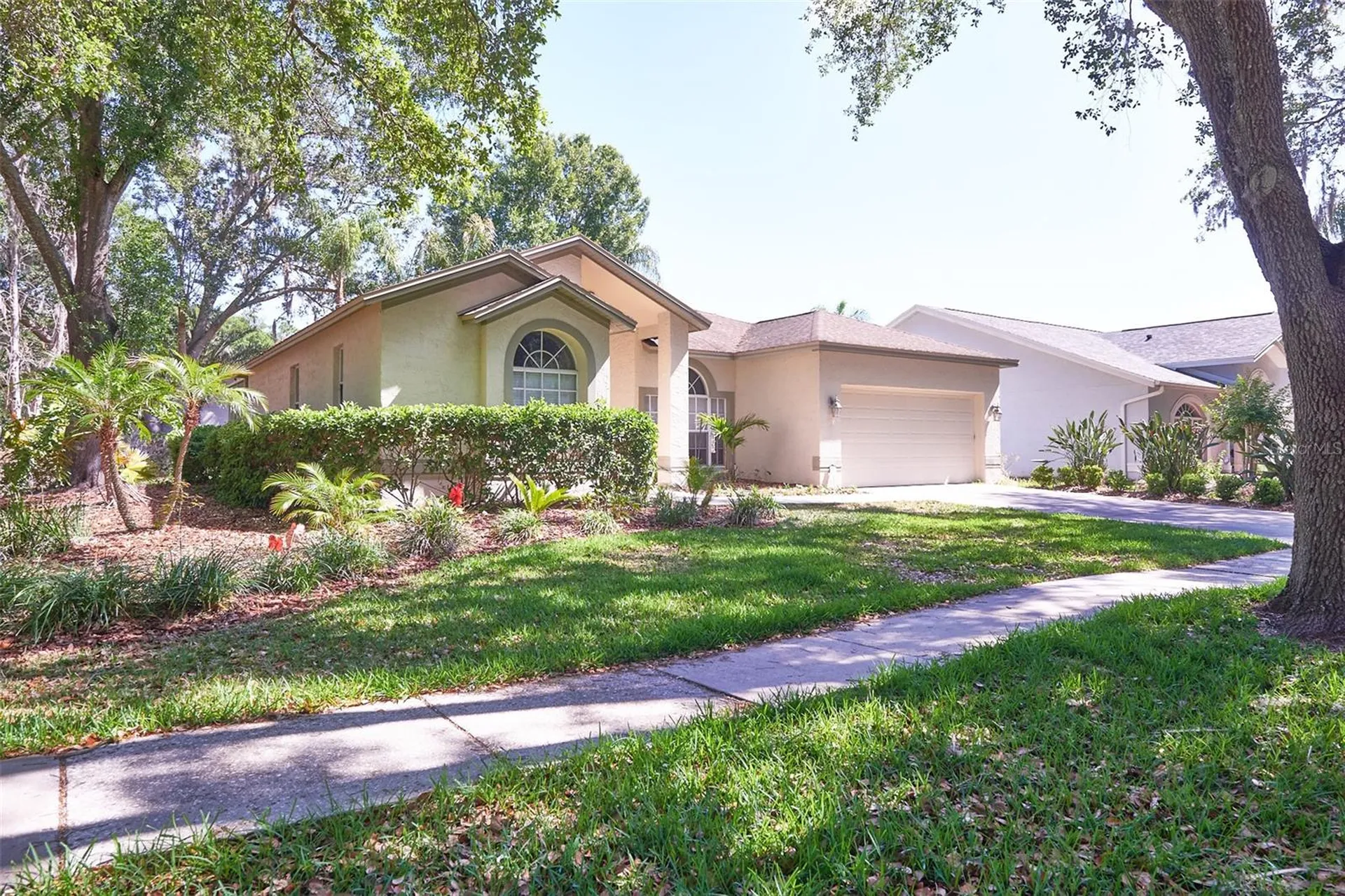 9302 Heritage Oak Court Tampa FL 33647