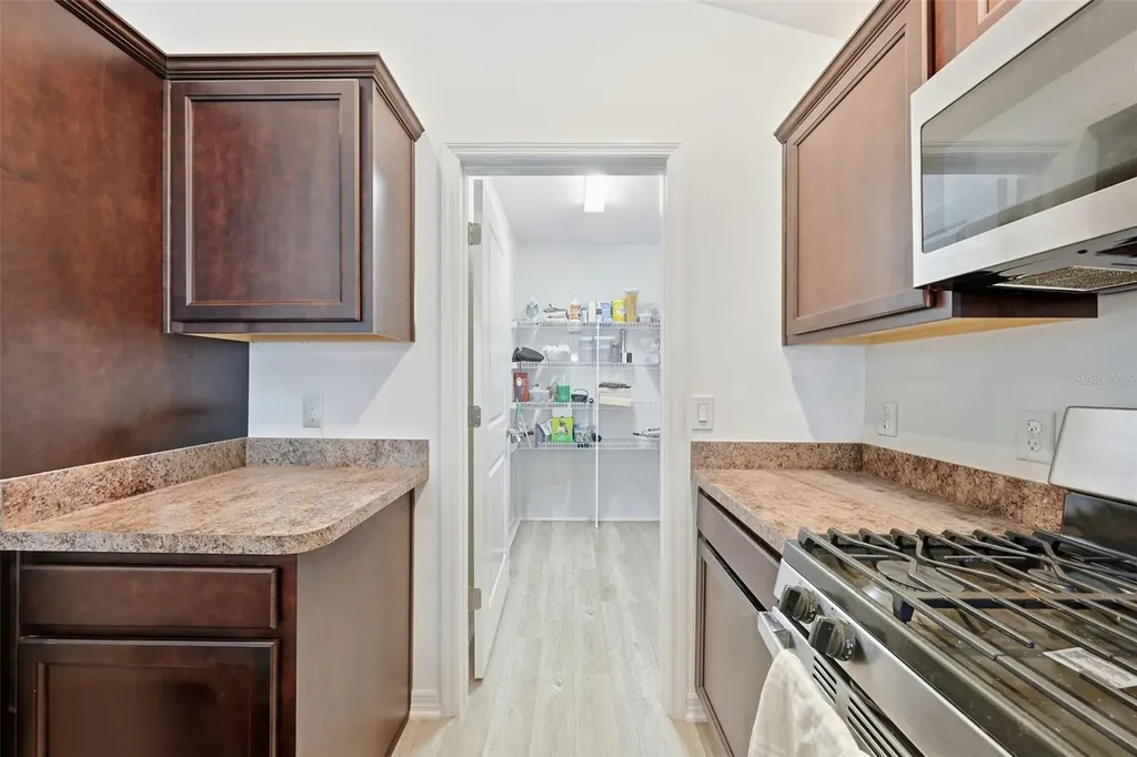 6094 Rodriguez Lane The Villages FL 32163