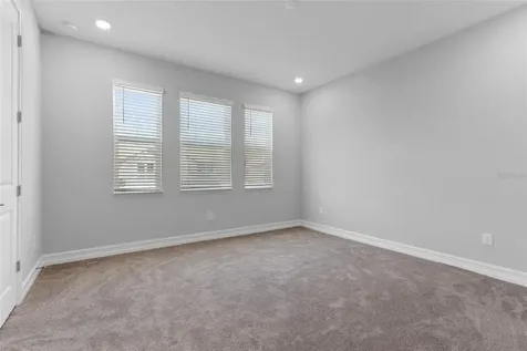 4989 San Martino Drive Wesley Chapel FL 33543
