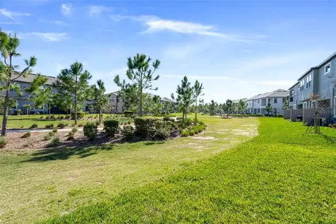 4989 San Martino Drive Wesley Chapel FL 33543