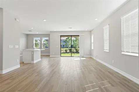 4989 San Martino Drive Wesley Chapel FL 33543