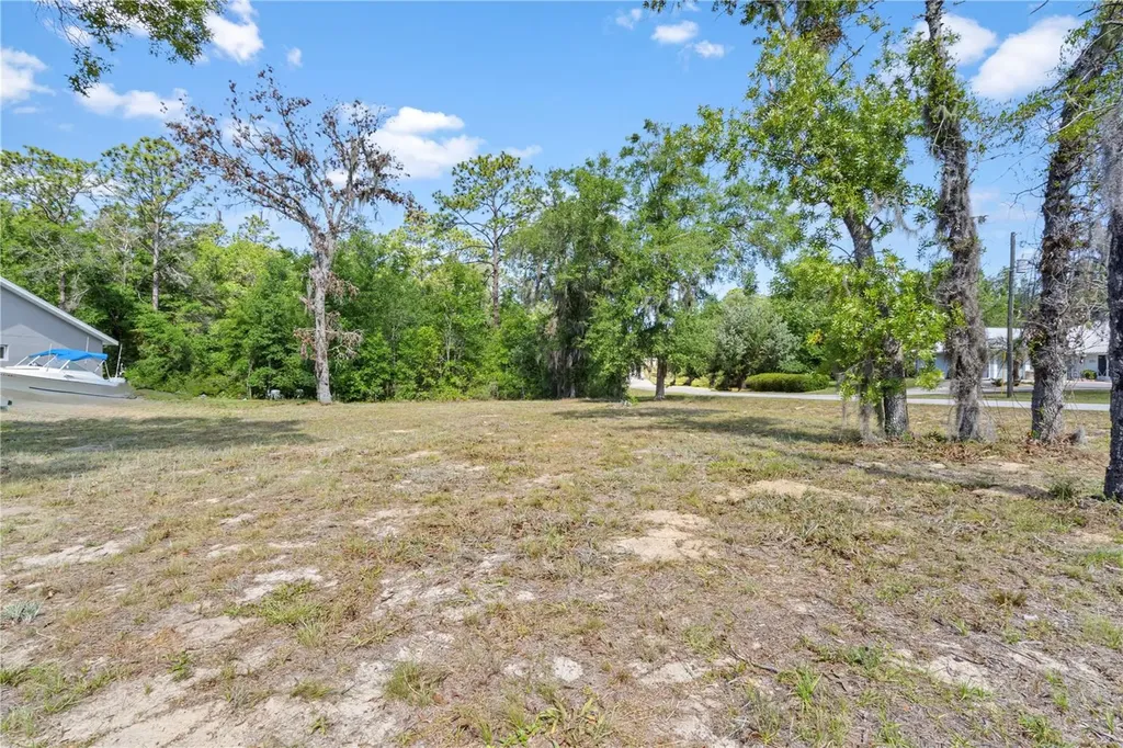 Tbd NE 152 Terrace Williston FL 32696