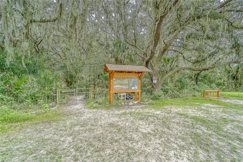 5218 Twin Creeks Drive Valrico FL 33596