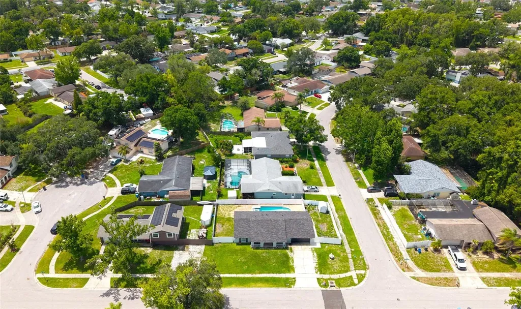 4214 Hollow Hill Drive Tampa FL 33624