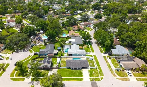 4214 Hollow Hill Drive Tampa FL 33624