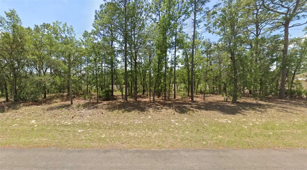 764 W Glenhaven Drive Dunnellon FL 34434